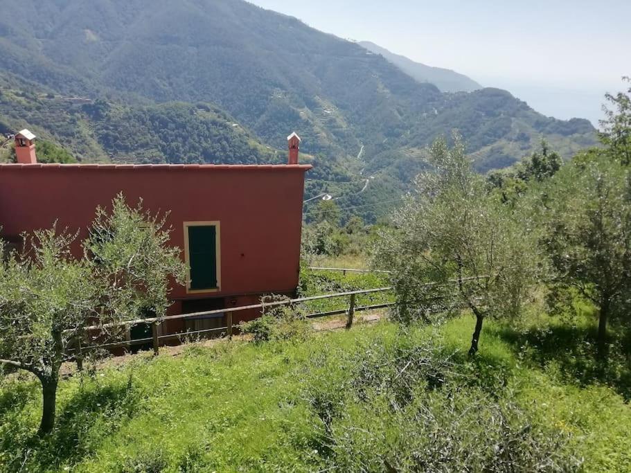 Quiet And Cozy Home With Wi-Fi Casa Prearino فيرناتْسا المظهر الخارجي الصورة